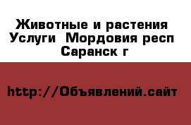 Животные и растения Услуги. Мордовия респ.,Саранск г.